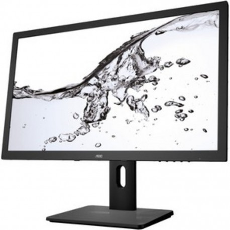 24IN HAS VGA DVI AUDIO