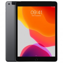 Apple iPad 10,2'' 128Go Wi-Fi Cellular (gris sideral) MW6E2 (late 2019)