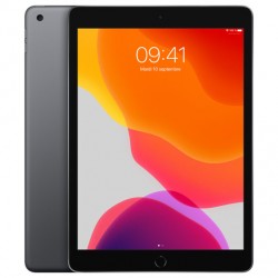 Apple iPad 10,2'' 32Go Wi-Fi Cellular Gris Sideral MYMH2 (late 2020)