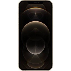 IPHONE 12 PRO MAX 6.7IN MGD93F/A