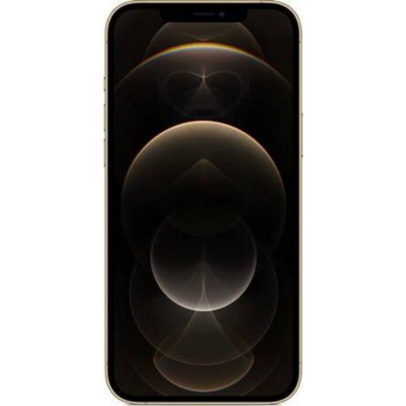 IPHONE 12 PRO MAX 6.7IN MGD93F/A