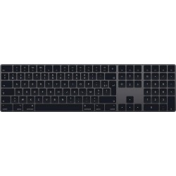 APPLE MAGIC KEYBOARD NUMERIC KEYPAD GRIS SIDERAL MRMH2F/A