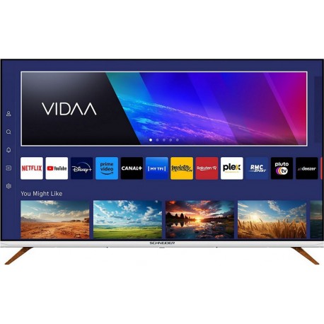 Schneider TV QLED QLED 55F1